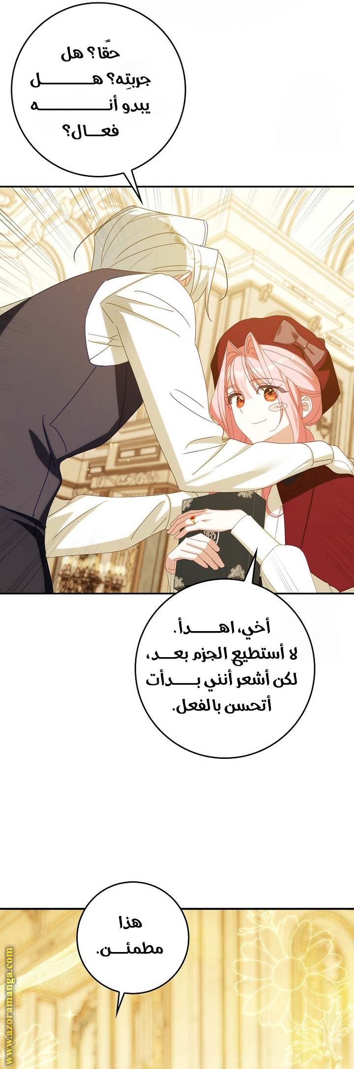 الصفحة 43