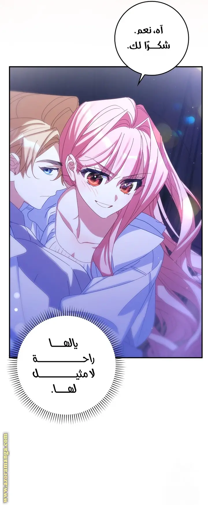 الصفحة 29
