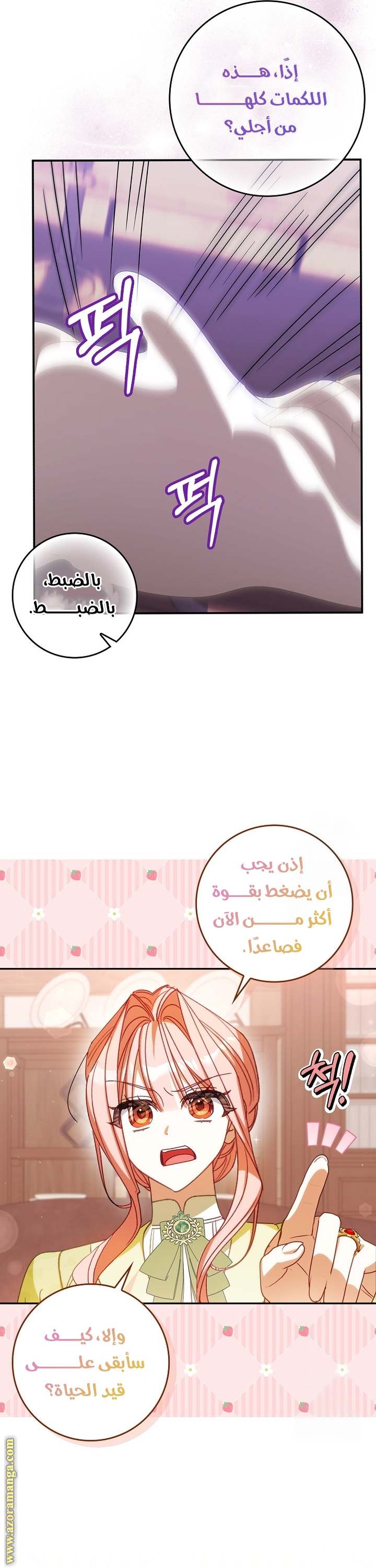 الصفحة 22