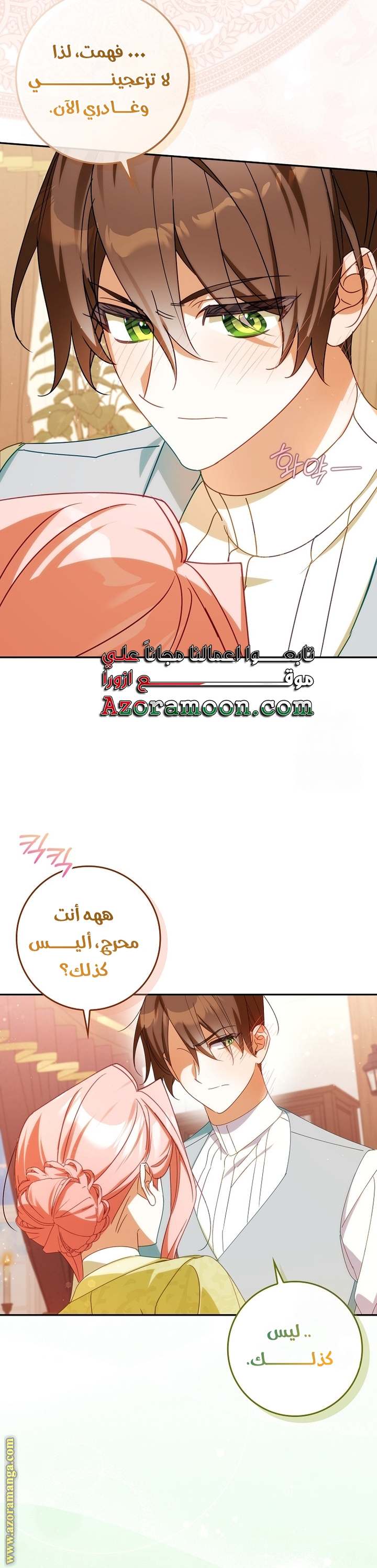 الصفحة 42