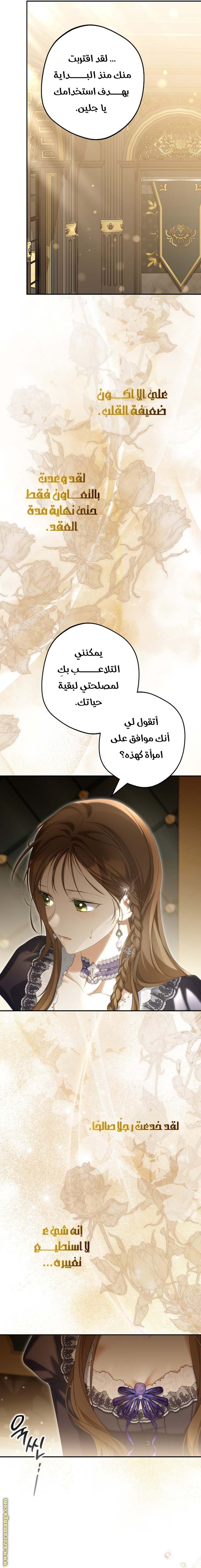 الصفحة 13