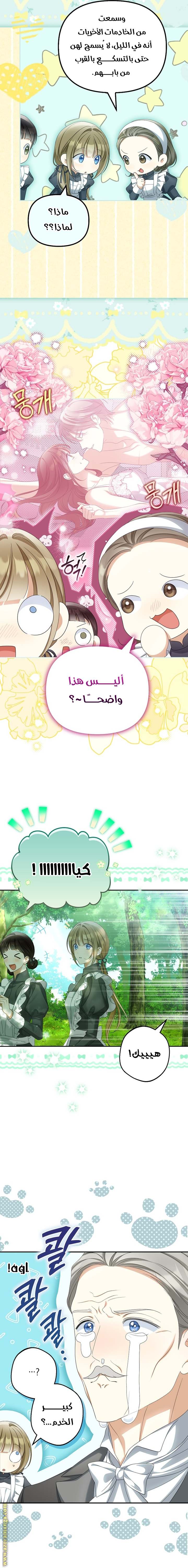 الصفحة 7