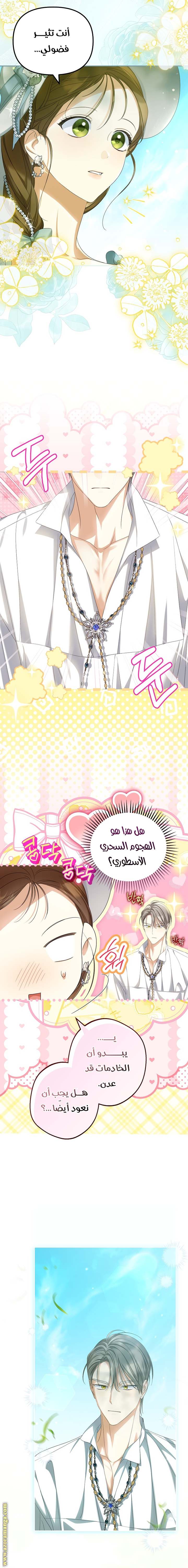 الصفحة 15