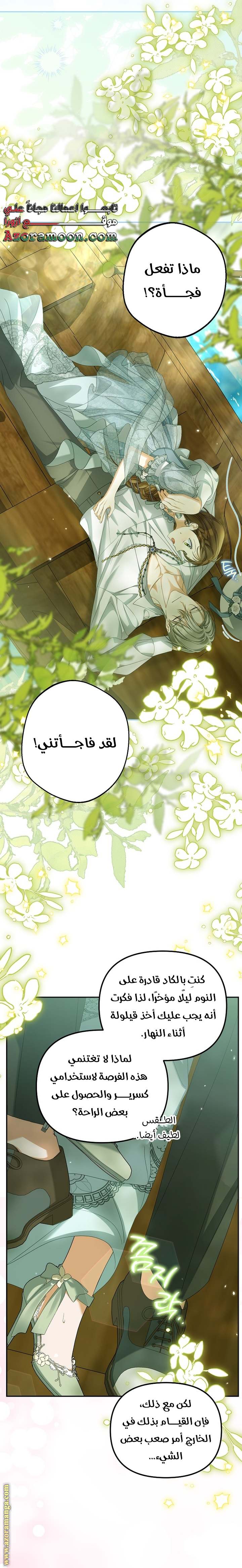 الصفحة 17