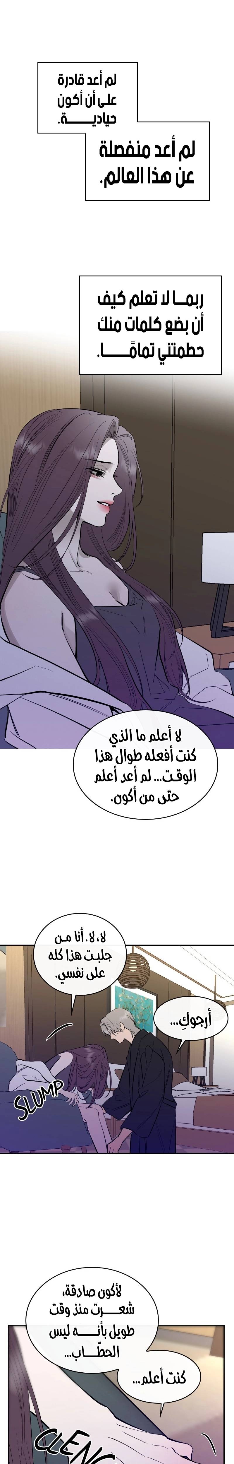 الصفحة 13