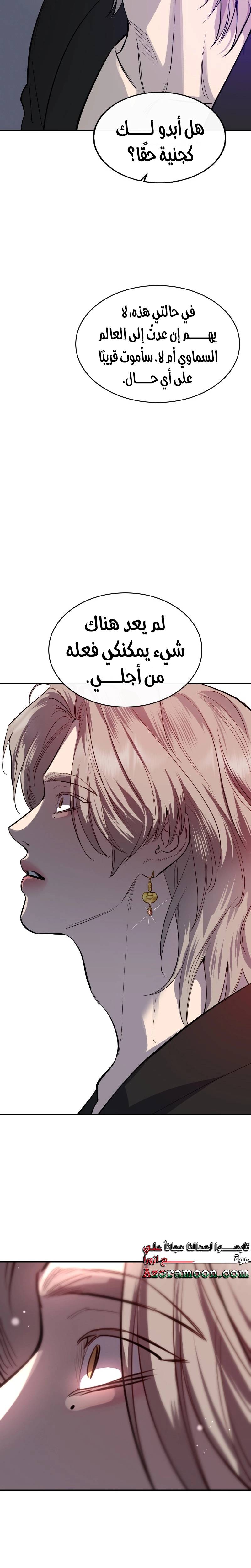 الصفحة 17