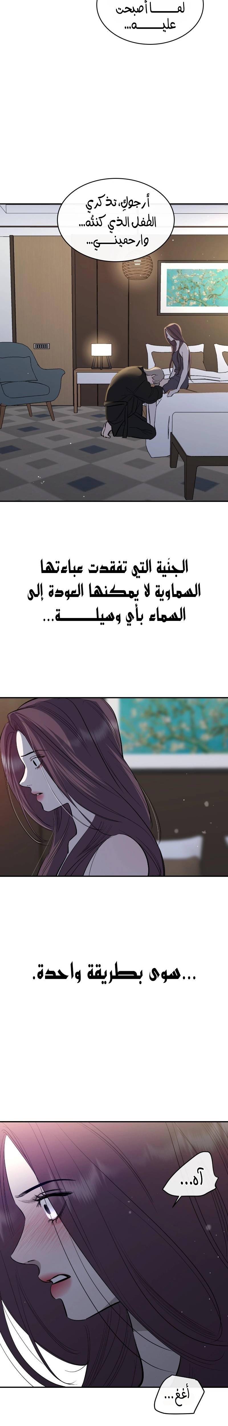 الصفحة 25