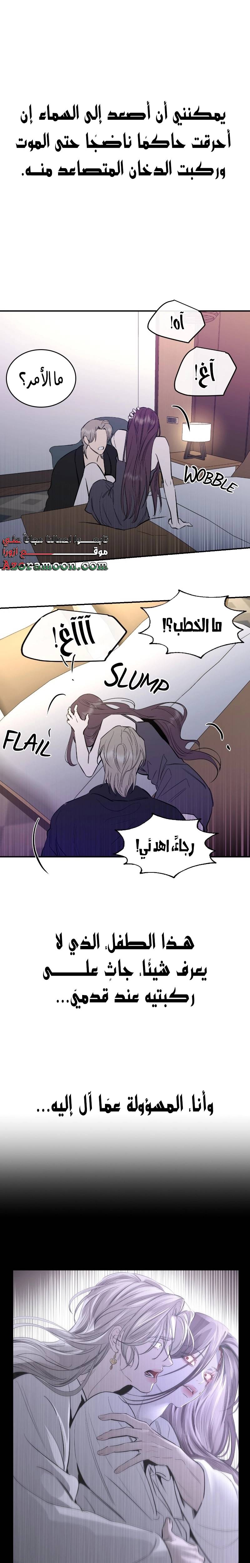 الصفحة 26