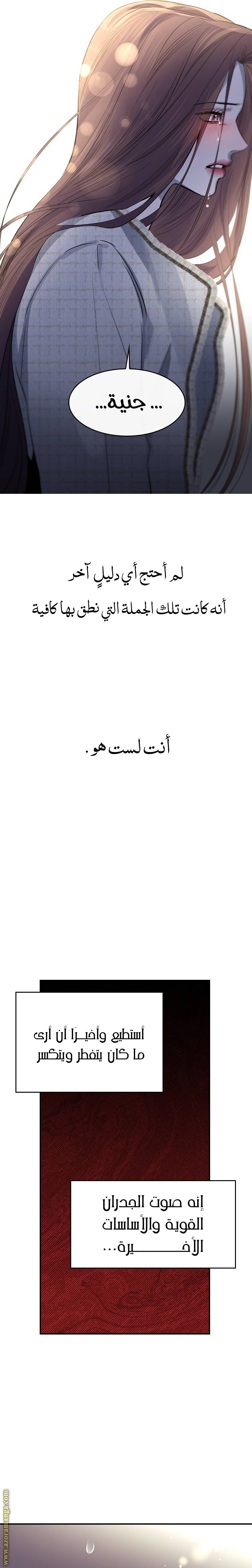 الصفحة 25