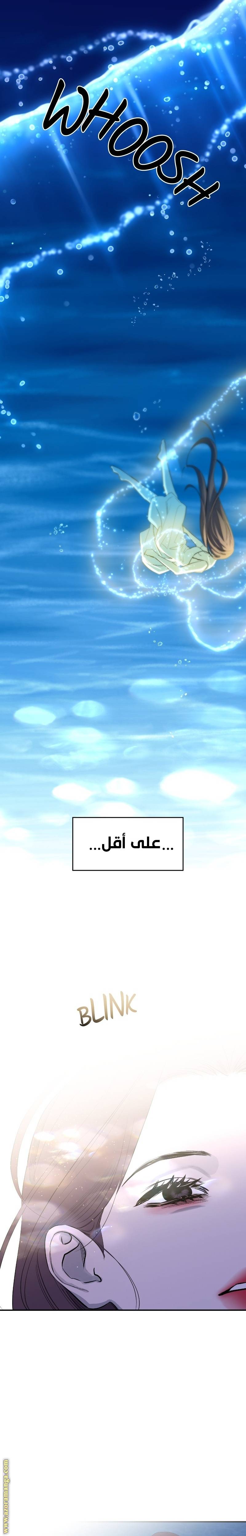 الصفحة 21