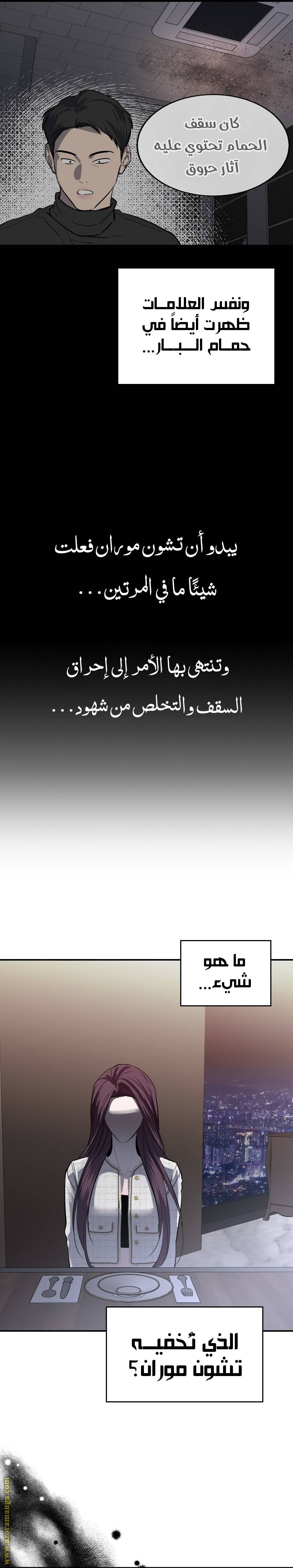الصفحة 17