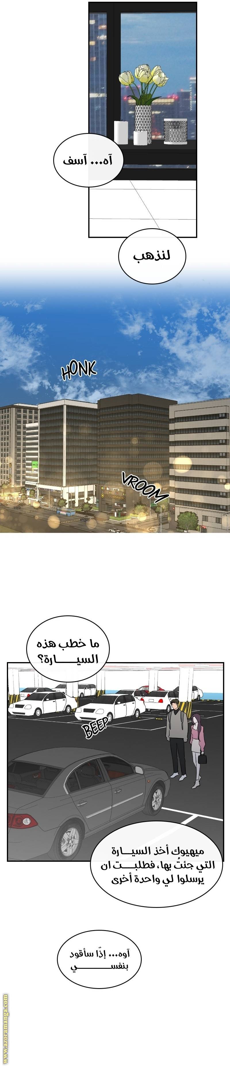 الصفحة 17