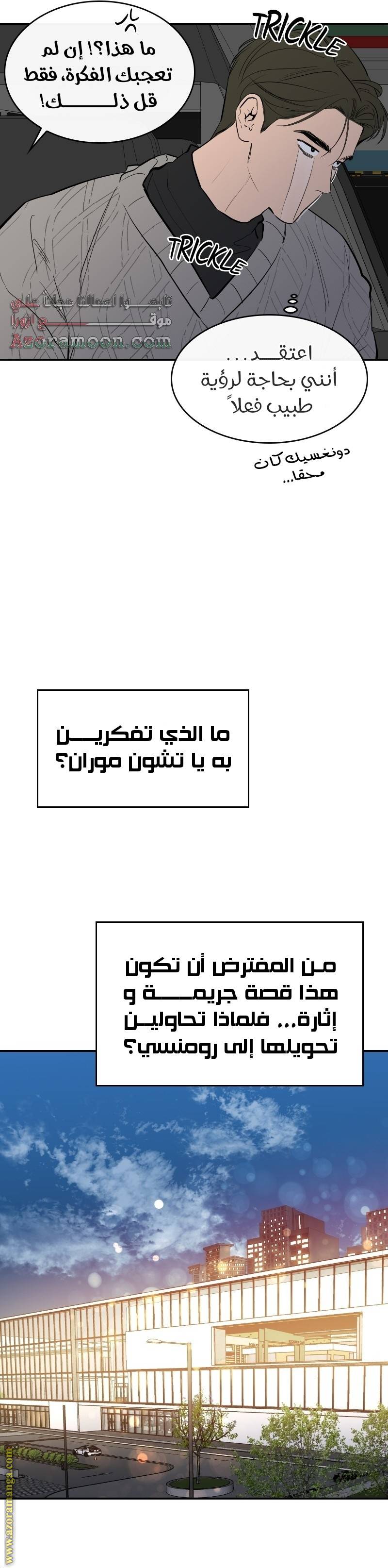 الصفحة 19
