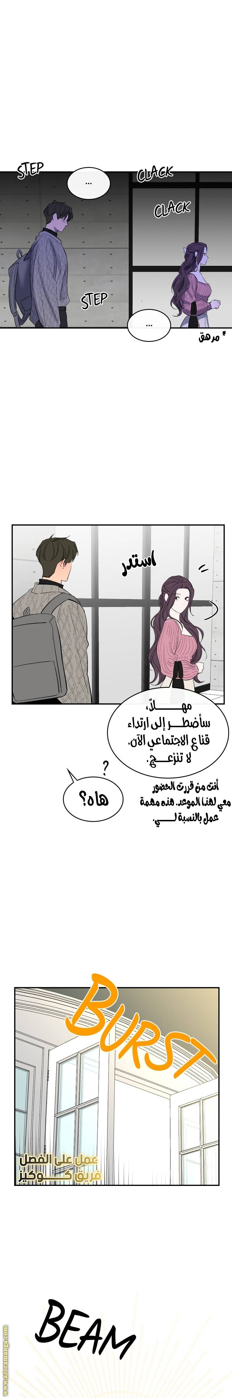 الصفحة 17