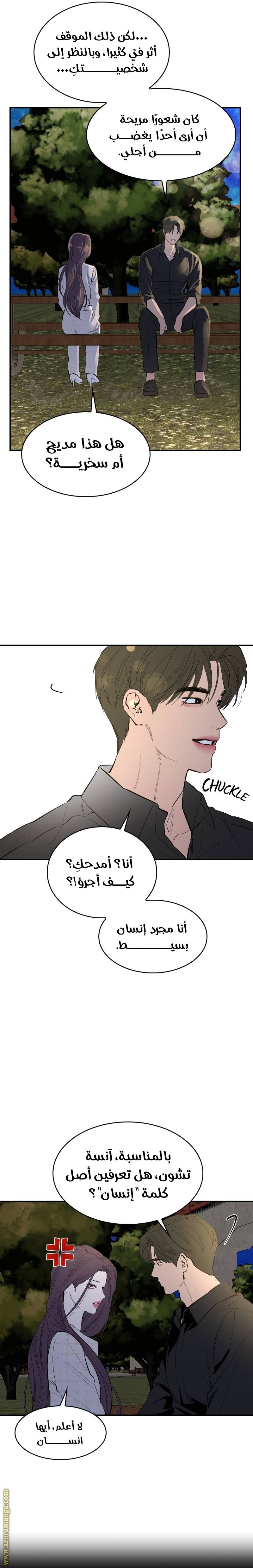 الصفحة 13