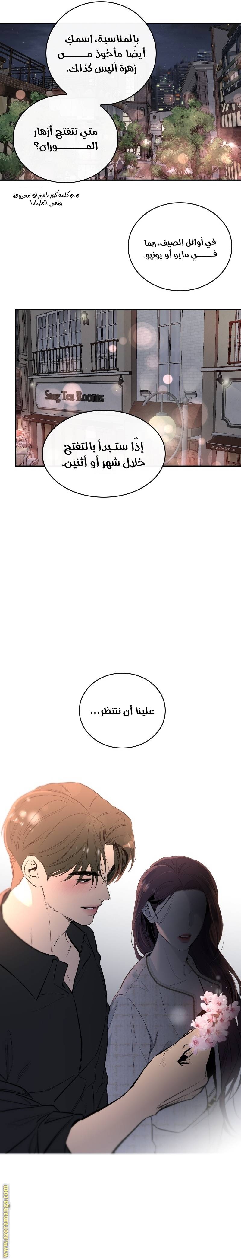 الصفحة 24