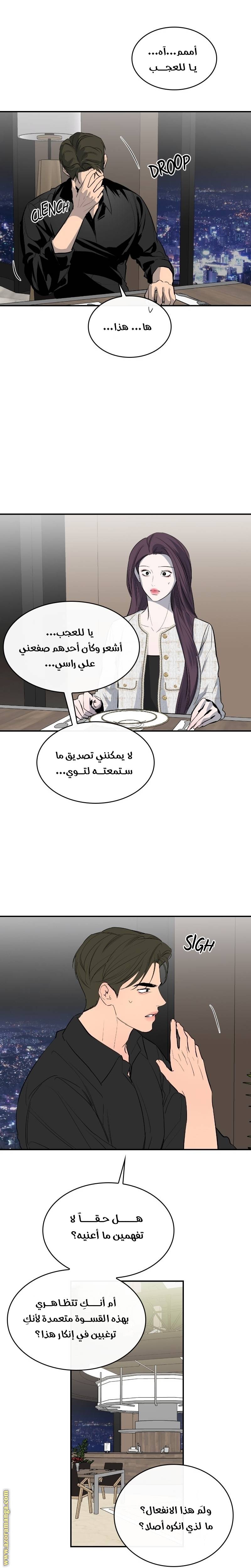 الصفحة 13