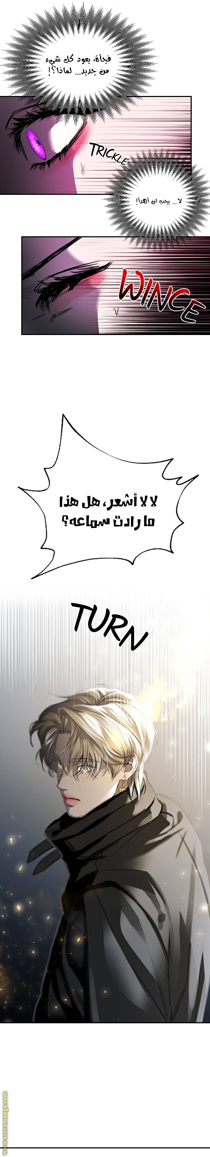 الصفحة 18