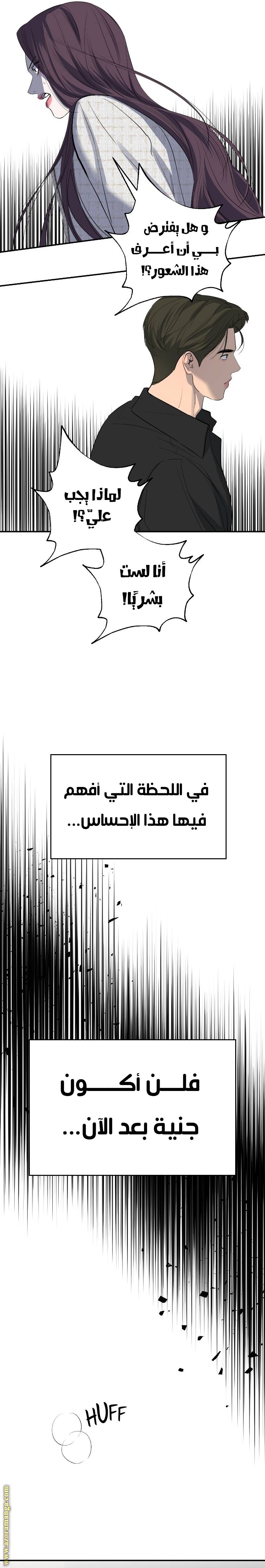 الصفحة 19