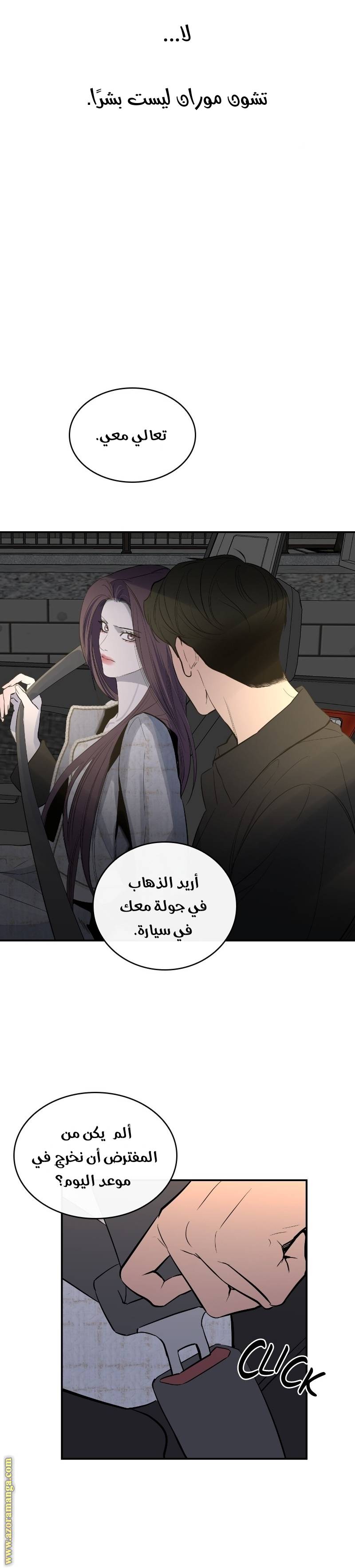 الصفحة 24