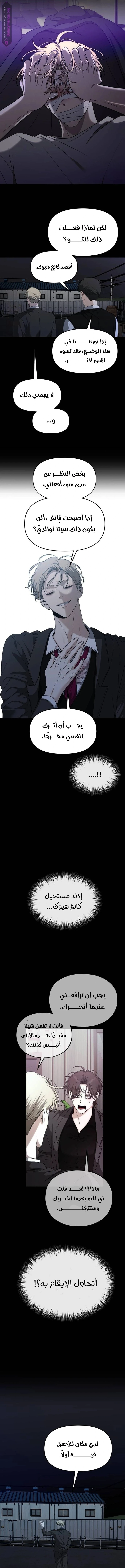 الصفحة 11