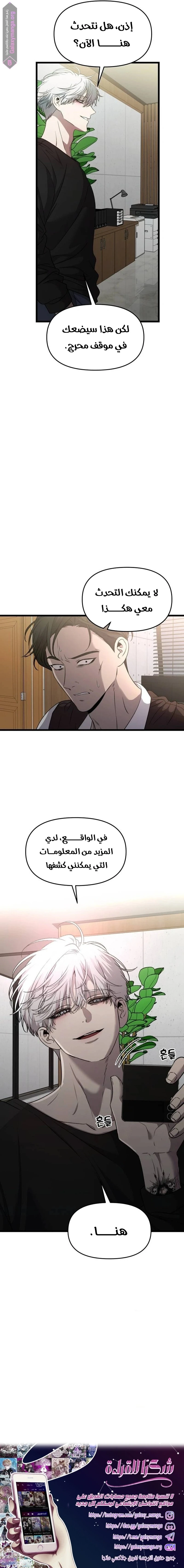 الصفحة 17