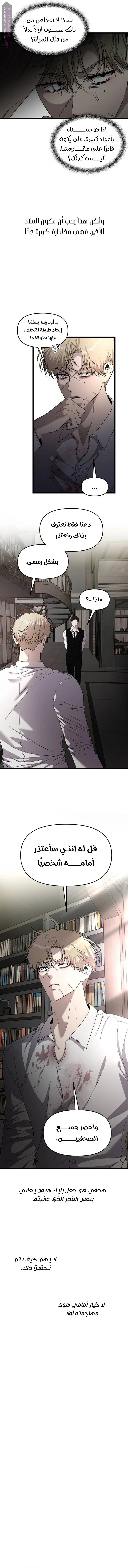 الصفحة 13