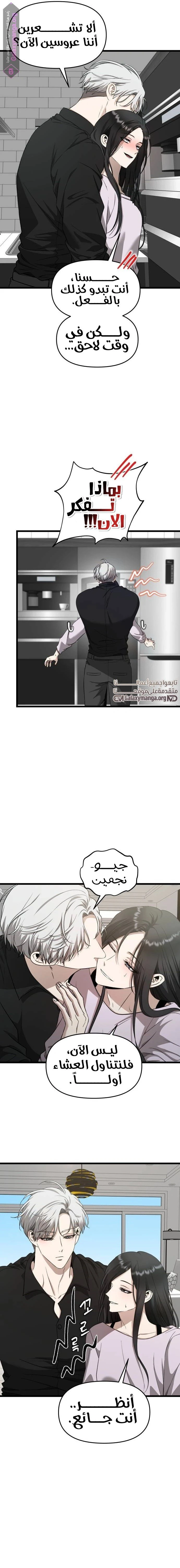 الصفحة 11