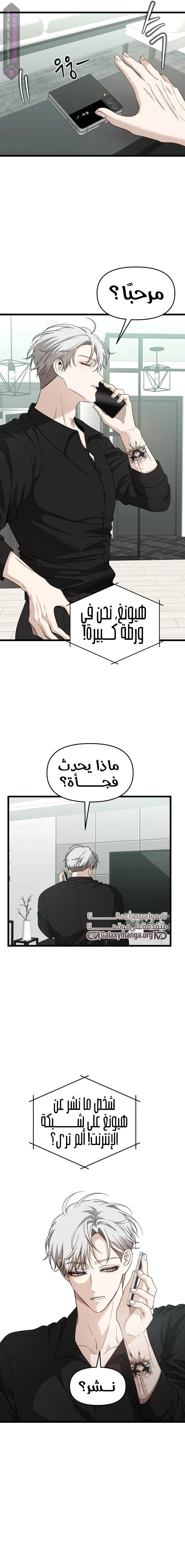 الصفحة 13