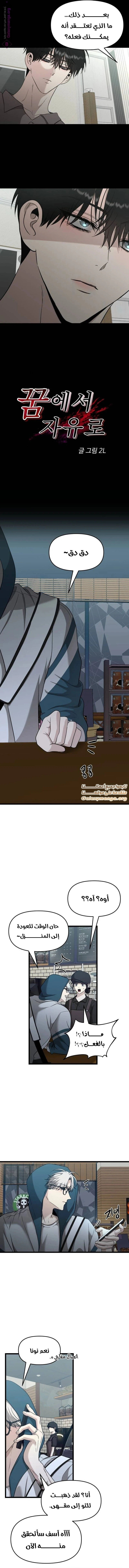 الصفحة 5