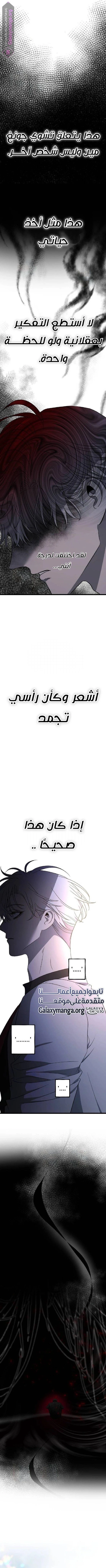 الصفحة 23