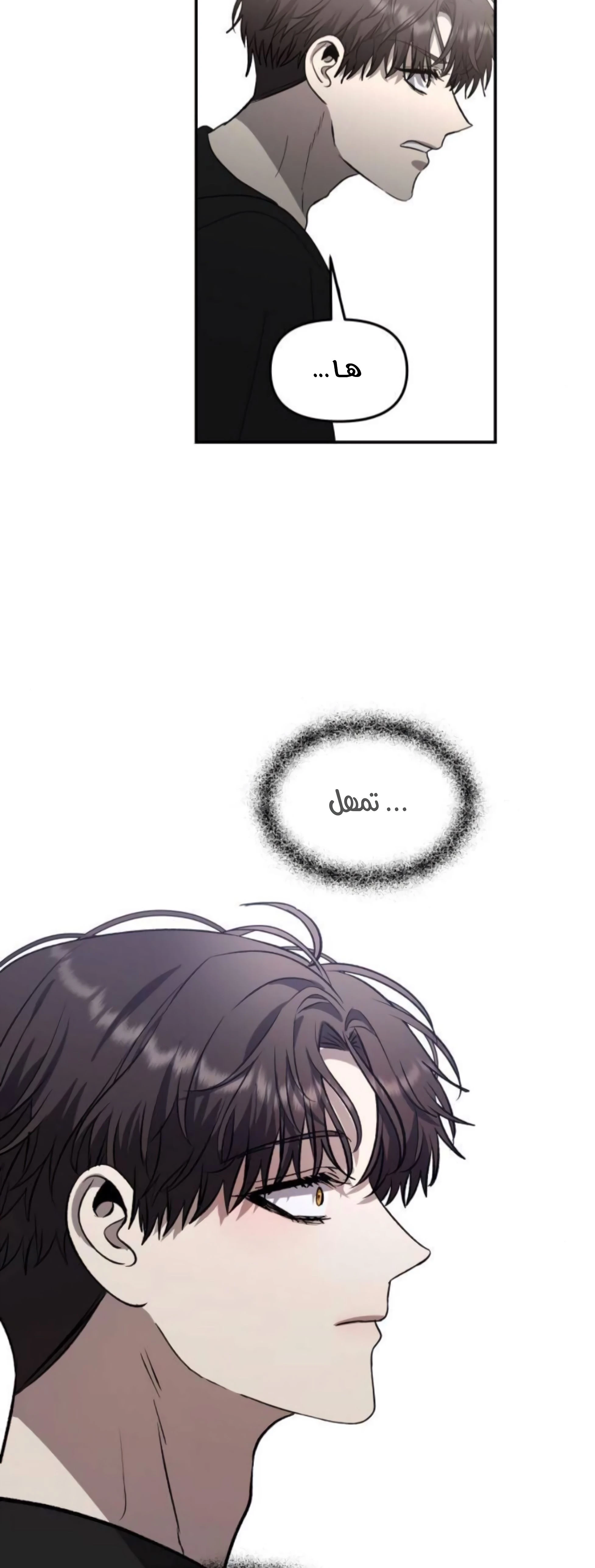 الصفحة 52