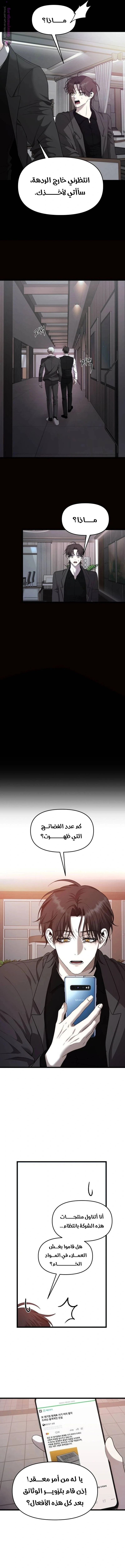 الصفحة 11