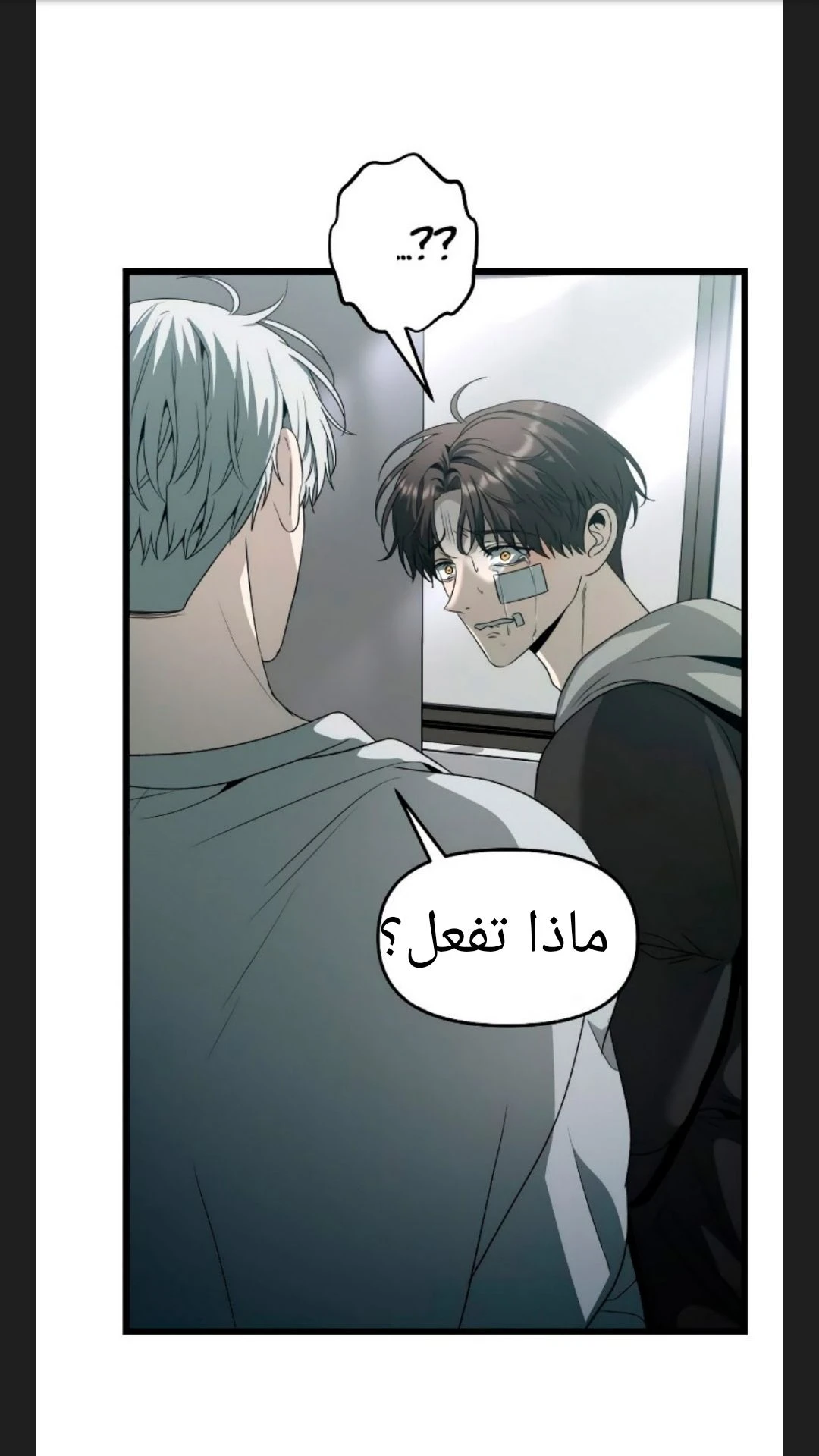 الصفحة 6
