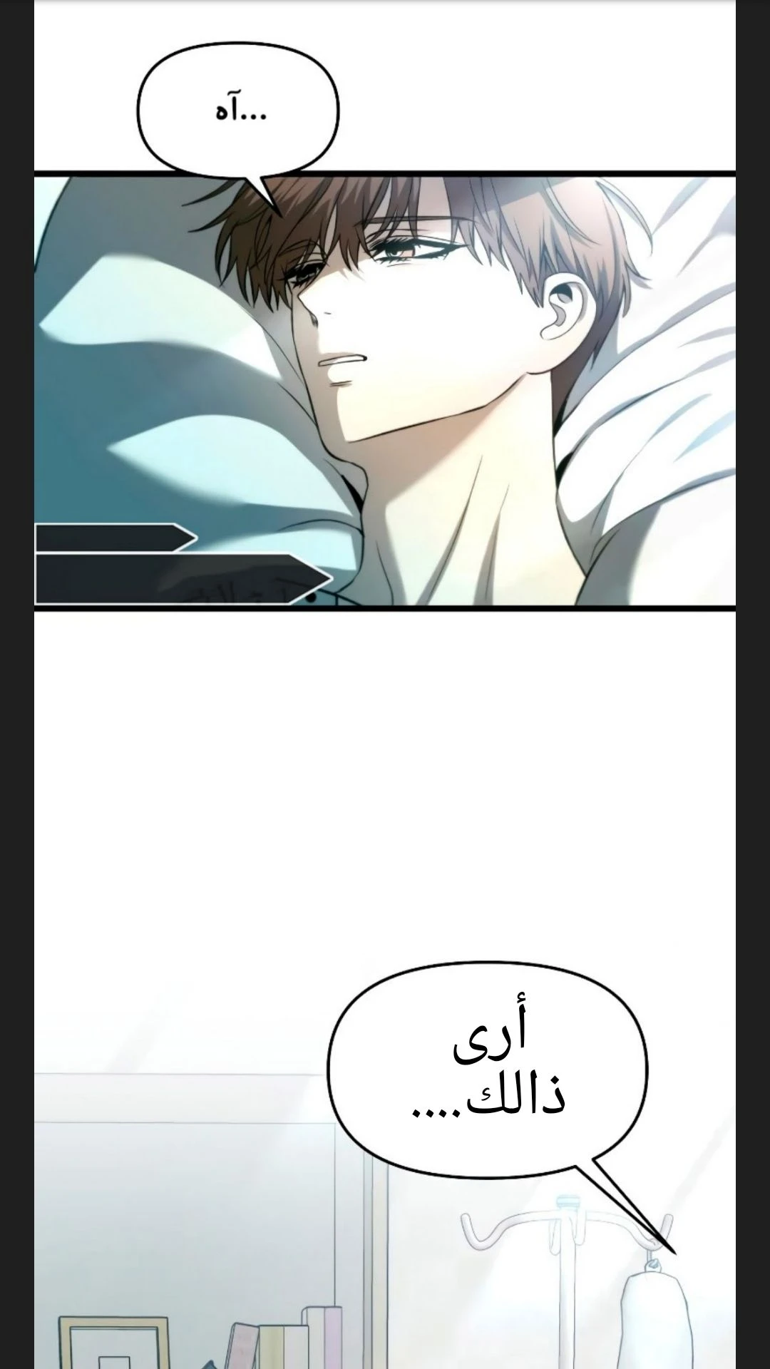 الصفحة 19