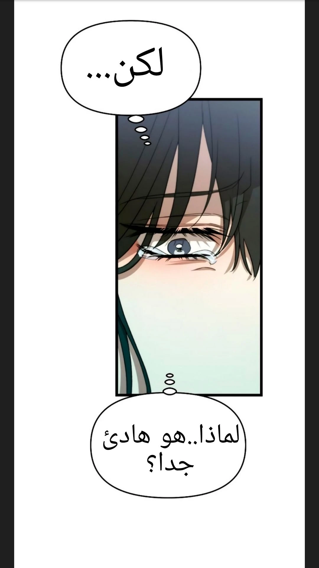 الصفحة 25
