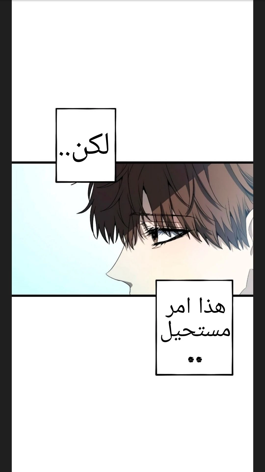 الصفحة 29