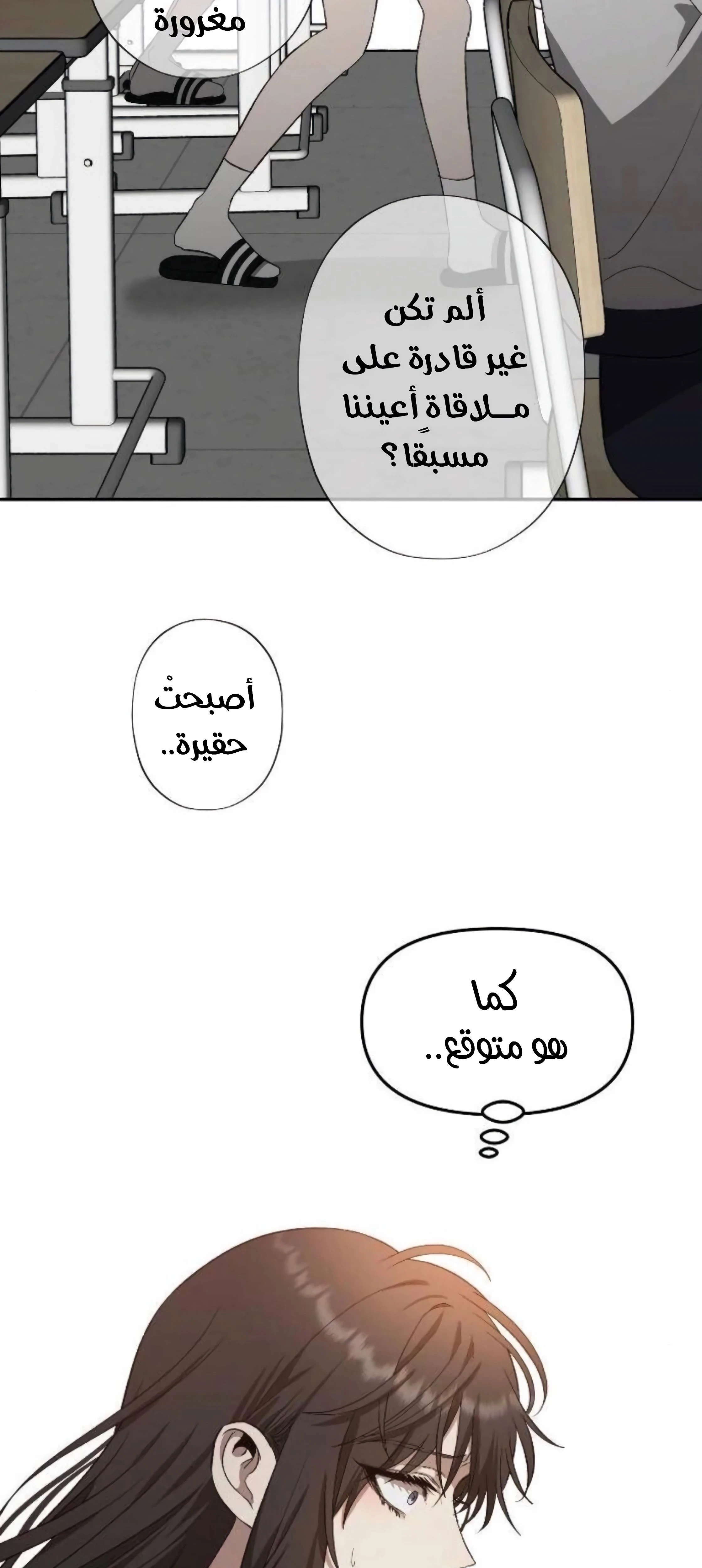 الصفحة 19