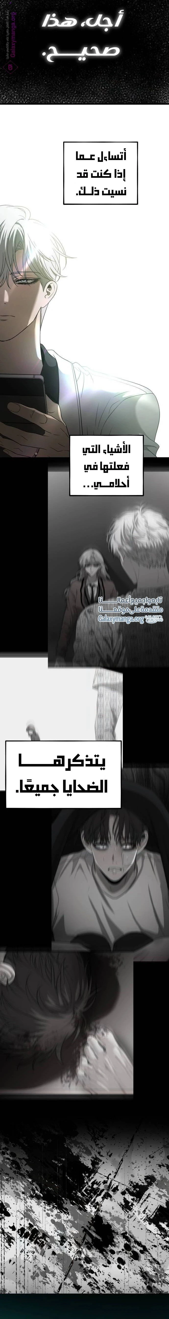 الصفحة 13