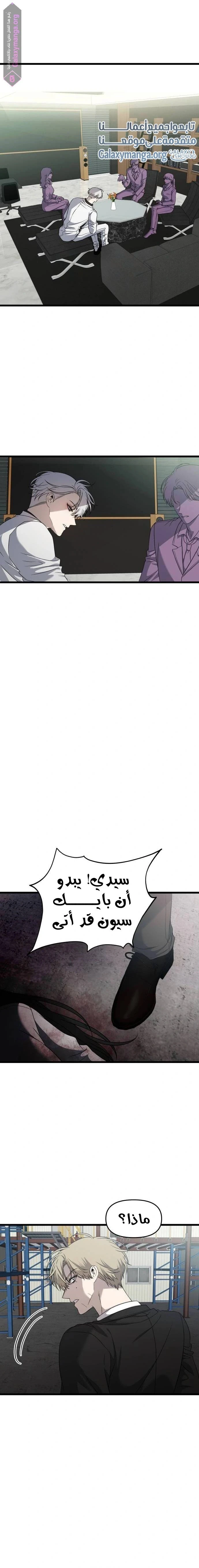الصفحة 17