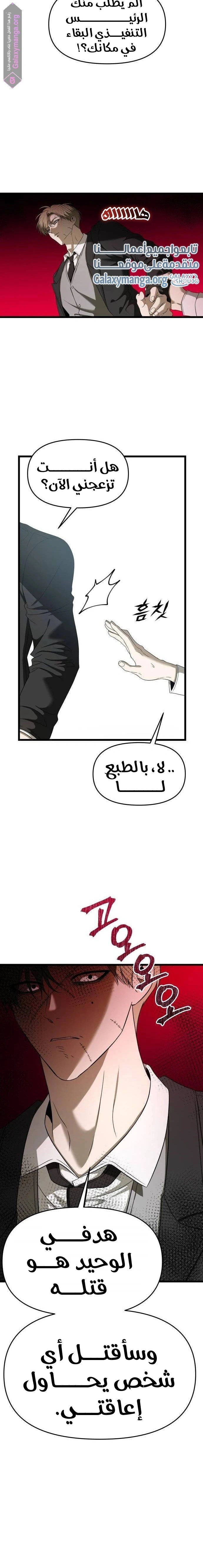 الصفحة 19