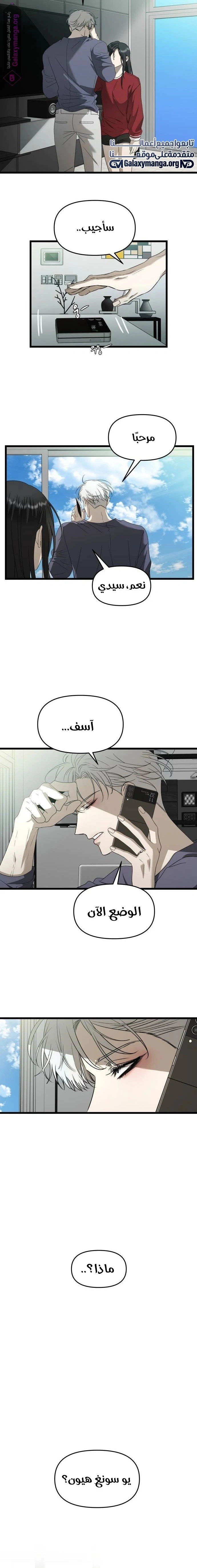 الصفحة 11