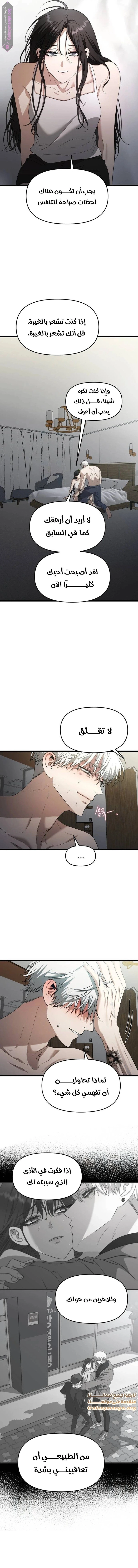 الصفحة 13