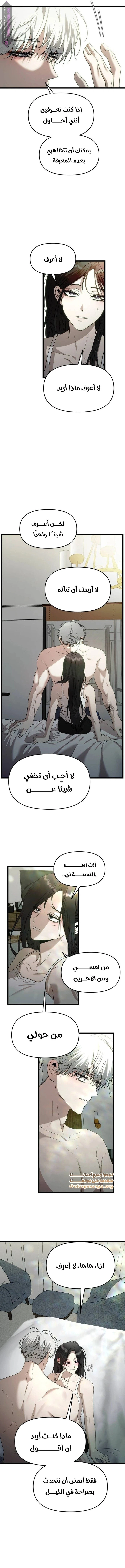الصفحة 14