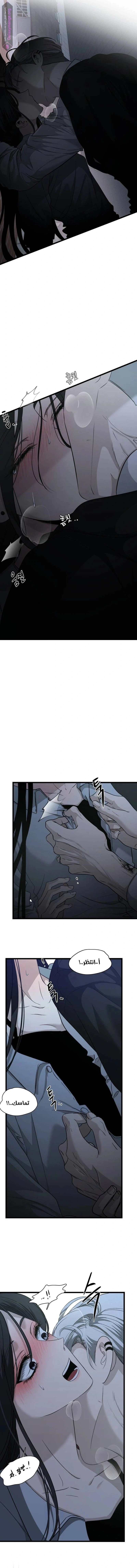الصفحة 11
