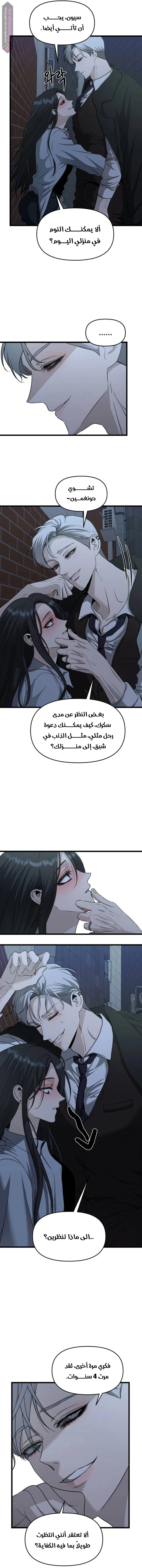الصفحة 13