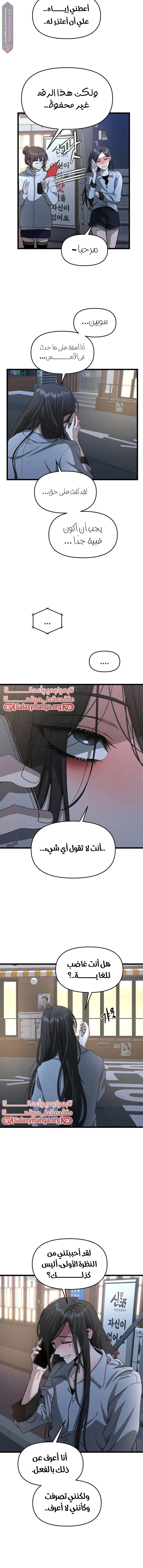 الصفحة 13