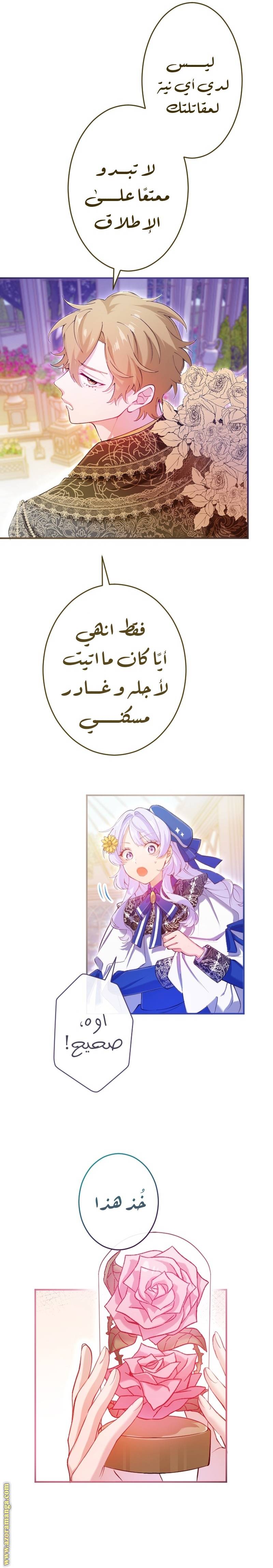 الصفحة 8