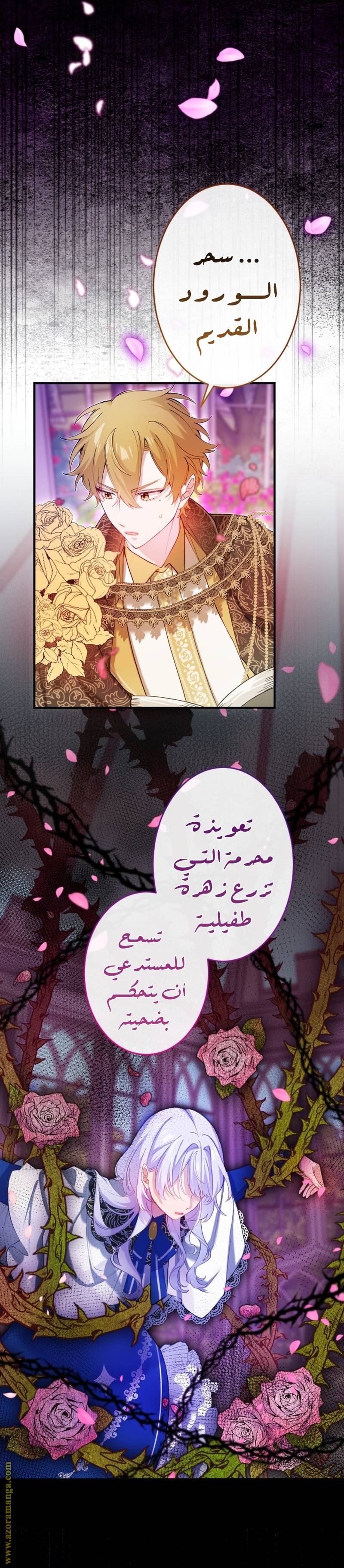 الصفحة 16