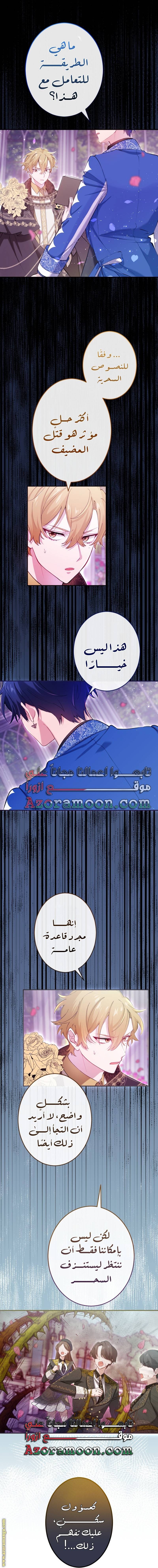 الصفحة 17